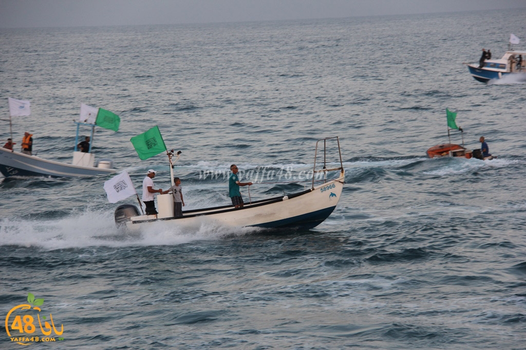 iste3rad sayaden yaffa (24).JPG